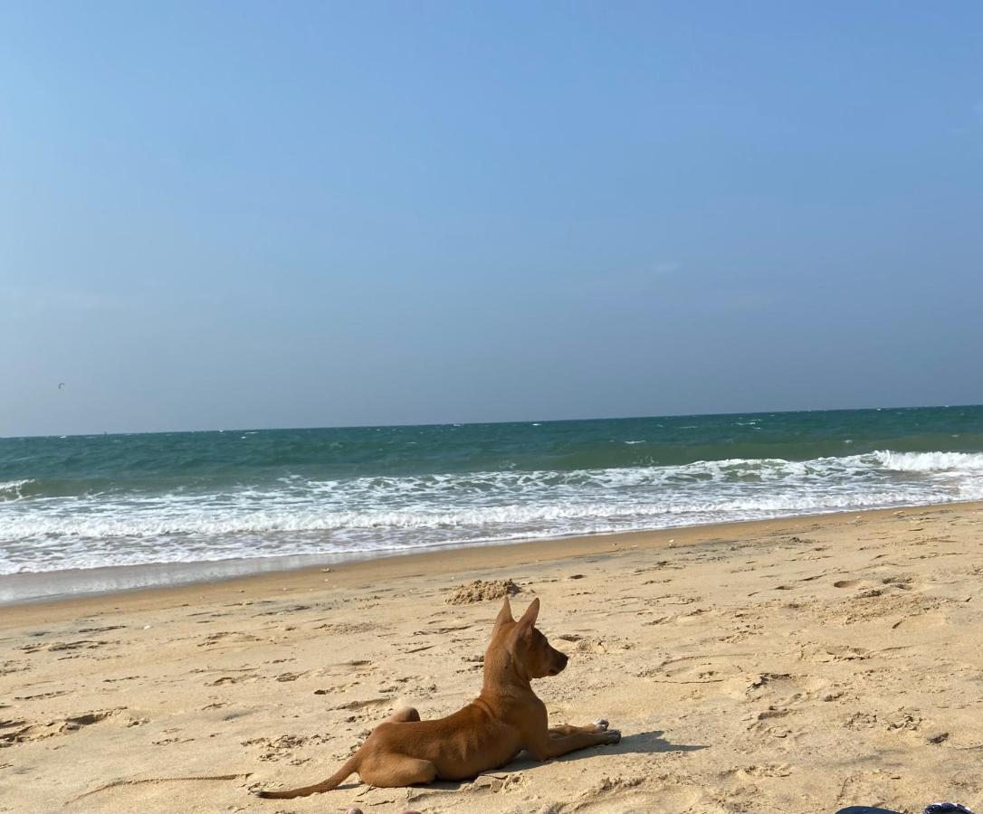 Sea Sand Resort Kalpitiya Exteriér fotografie