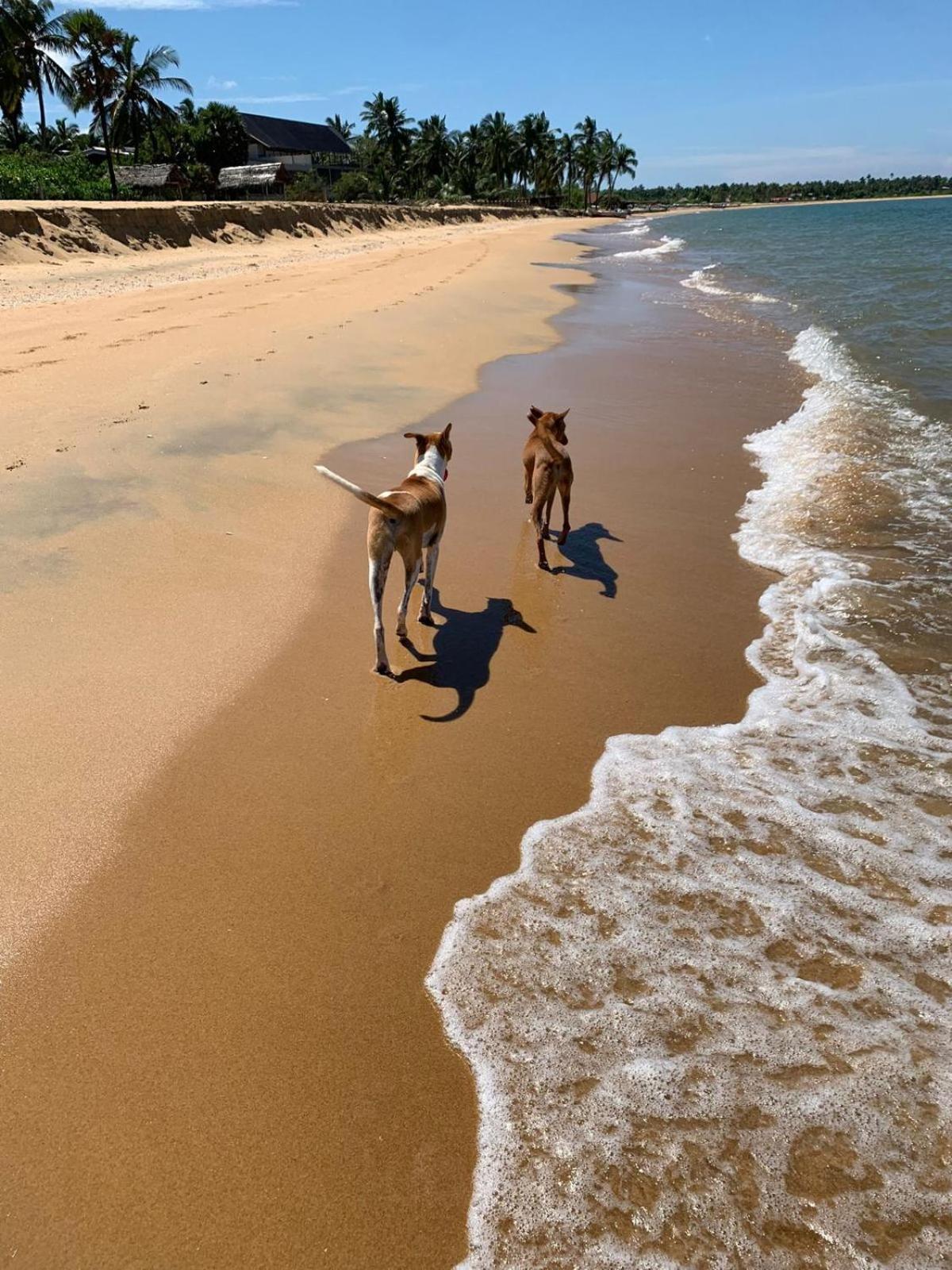 Sea Sand Resort Kalpitiya Exteriér fotografie