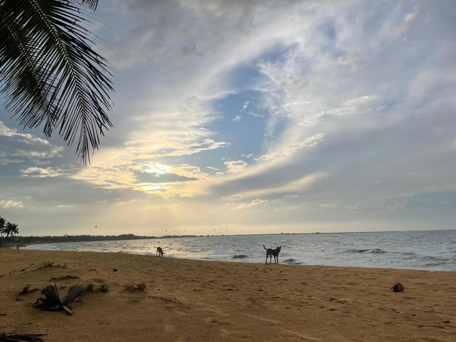 Sea Sand Resort Kalpitiya Exteriér fotografie